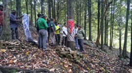 15 Pekebun Teluk Bintuni meninjau blok penghasil tinggi Pala Tomandin di Kadamber guna mempejari bagaimana Fakfak mengembangkan Pala Tomandin sebagai komoditas berkualitas ekspor menjadi inspirasi bagi kabupaten lain di Papua Barat.