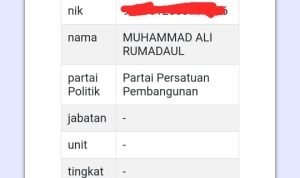 Hasil penelusuran melalui laman resmi KPU.