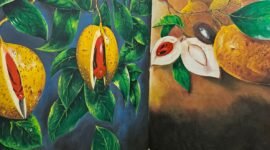 Pala Tomandin Fakfak, Komoditi Ekspor dari Fakfak siap bersaing di pasar global.