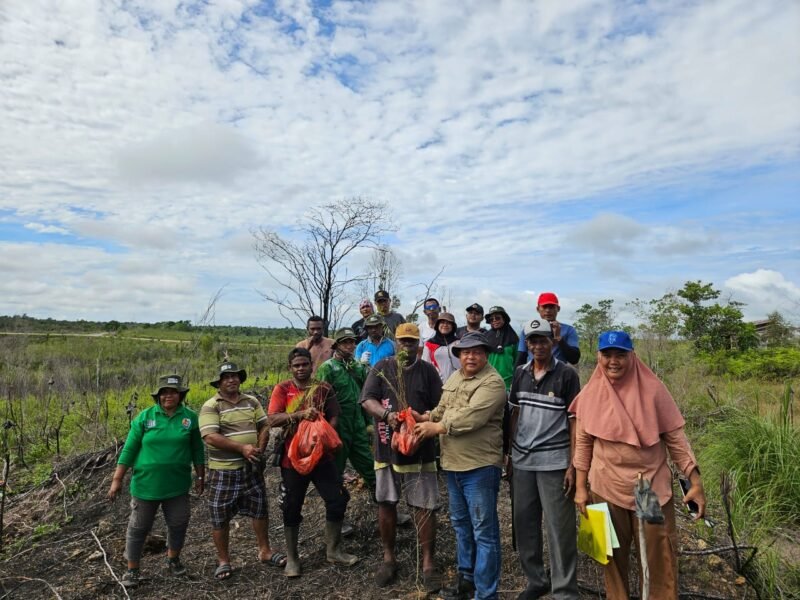 Plt. Kepala Dinas Perkebunan Fakfak, Widhi Asmoro Jati, ST, MT bersama kelompok hilirisasi Karya Mandiri yang dipimpin oleh Albayan Iha berhasil panen kayu putih.