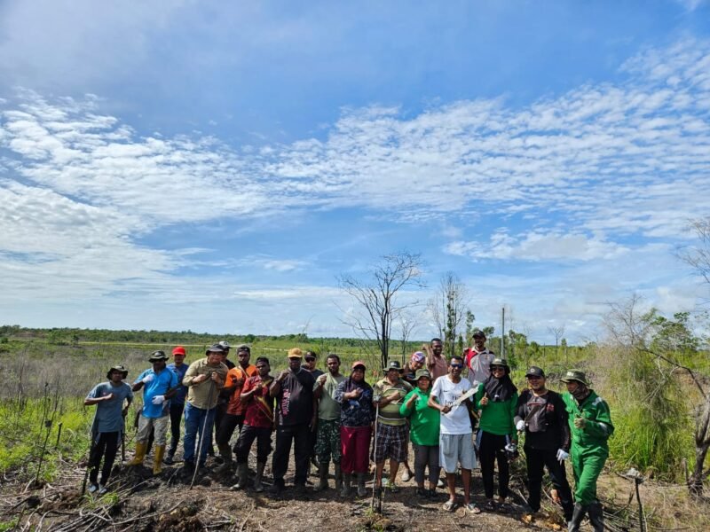 PLT. Kepala Dinas Perkebunan Widhi Asmoro Jati bersama masyarakat adat Kampung Mitimber melakukan penyulaman dan penggantian bibit yang terdampak kebakaran dengan menanam 1.000 pohon kayu putih di lahan seluas 1 hektar di area bekas kebakaran lahan menara pantau Bomberay.