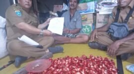 Melalui edaran Bupati Fakfak Nomor 500.8.3/752/BWP/2024 Plt. Kepala Dinas Perkebunan Fakfak Widhi Asmoro Jati menekankan agar pedagang pengepul agar tidak menjemur pala di tempat yang tidak memenuhi standar kebersihan.