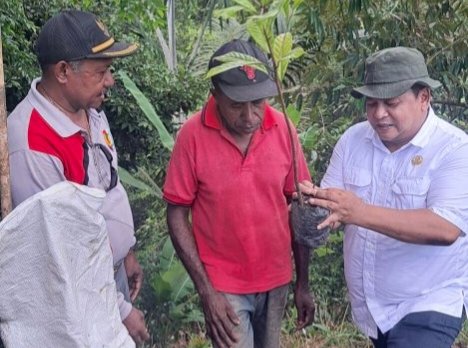 Plt. Kepala Dinas Perkebunan Fakfak Widhi Asmoro Jati, ST., MT., saat bersama masyarakat petani pala.