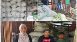 Plt. Kepala Dinas Perkebunan Kabupaten Fakfak, Widhi Asmoro Jati, ST, MT, saat melakukan peninjauan ke sejumlah lokasi usaha perdagangan pala antar pulau pada.