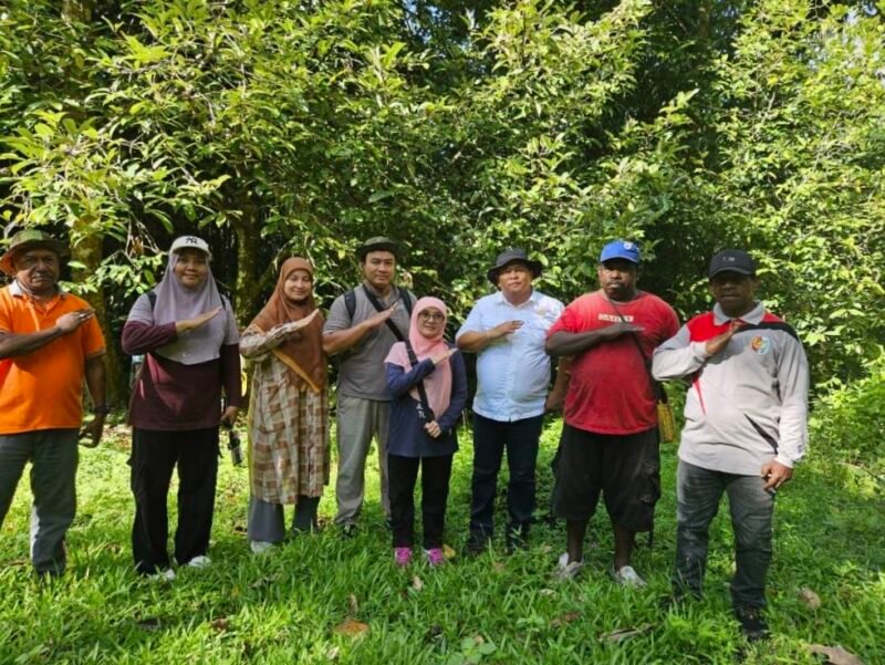 Dinas Perkebunan Fakfak menggandeng BRIN dalam rangka riset terhadap Pala Tomandin.