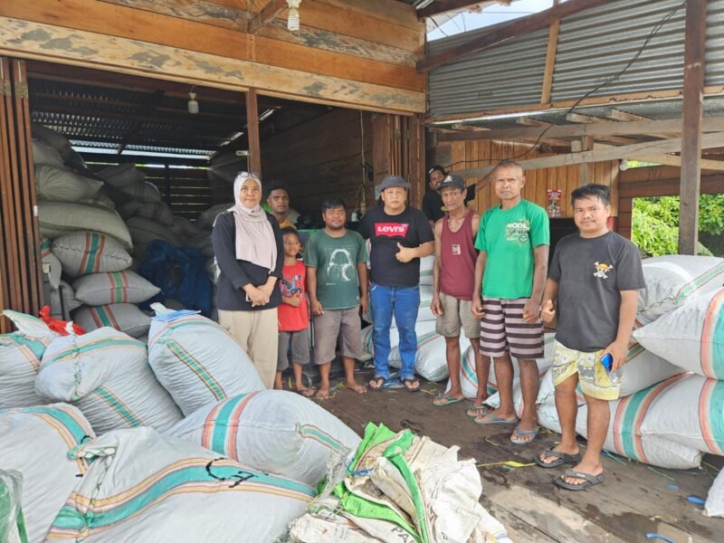 Plt. Kepala Dinas Perkebunan Fakfak Widhi Asmoro Jati, ST., MT melaksanakan pemantauan lapangan kepada pengusaha pala guna meninjau retribusi pala.