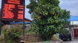 Pantauan Informasi Harga Komoditi Pala secara Real Time Per 1 Juli 2025. 