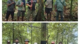 Foto. Plt. Kepala Dinas Perkebunan Fakfak Widhi Asmoro Jati, ST., MT., bersama para petani di salah satu wilayah Blok Penghasil Tinggi (BPT) Pala Tomandin.