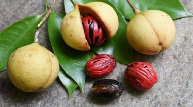 rempah yang pernah menjadi komoditas bernilai tinggi di masa penjajahan ini diketahui memiliki khasiat untuk melegakan tenggorokan, mengurangi hidung tersumbat, serta membantu mengencerkan dahak(foto : Ist)