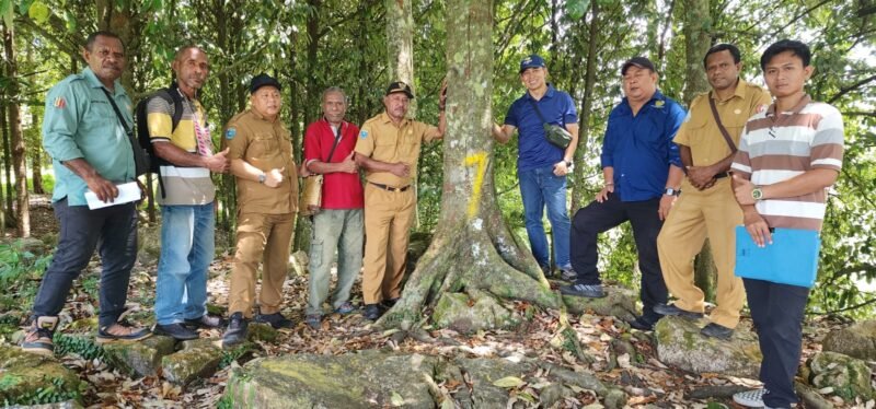 Tim gabungan Balai Besar Perbenihan dan Proteksi Tanaman Perkebunan Ambon bersama Dinas Tanaman Pangan, Hortikultura dan Perkebunan Provinsi Papua Barat bersama Dinas Perkebunan Fakfak melakukan evaluasi menyeluruh terhadap delapan kebun benih BPT dan tiga unit penangkar pala Tomandin sebagai bagian dari penyusunan rencana aksi hilirisasi pala di Fakfak.